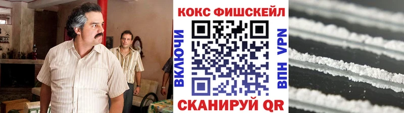купить   mega ТОР  Cocaine Эквадор  Светогорск 