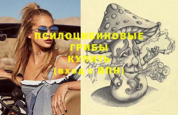 марки lsd Белокуриха