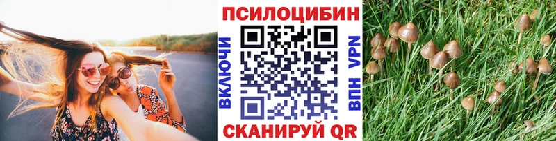 Псилоцибиновые грибы мицелий  Светогорск 